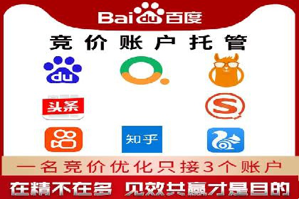 SEM托管服务成功案例：助力企业转型升级